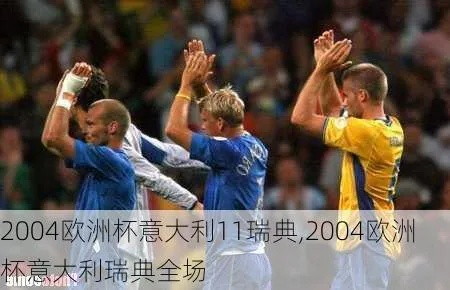 2004年欧洲杯瑞典阵容 2004年欧洲杯瑞典阵容对阵-第2张图片-www.211178.com_果博福布斯