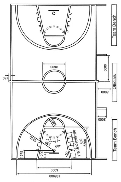 篮球场地标准尺寸是多少？-第3张图片-www.211178.com_果博福布斯
